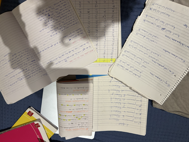 Claudia's notes for studying foreign languages